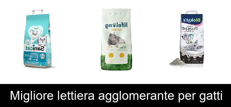 Migliore lettiera agglomerante per gatti