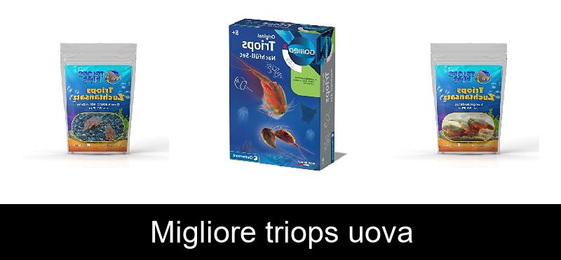 Migliore triops uova