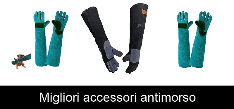 Migliori accessori antimorso