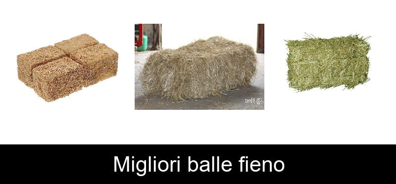 Migliori balle fieno