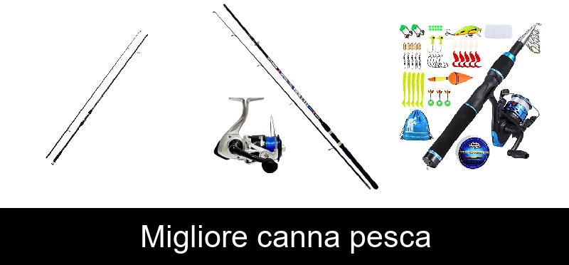 Migliore canna pesca