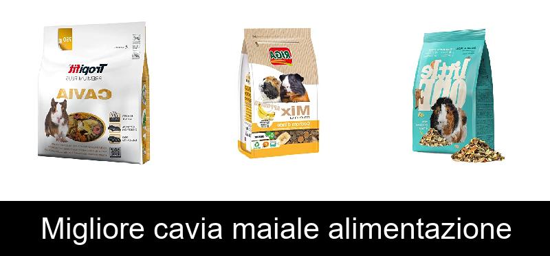 Migliore cavia maiale alimentazione